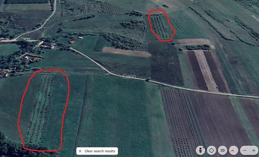 Livada nuci Fernor matura, planta?ie intensiva, iriga?ie + fantana, Salaj