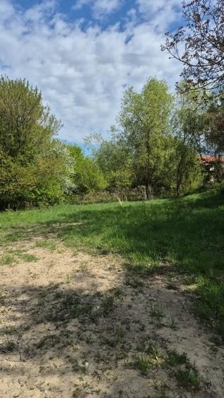 Teren Construcții intravilan de 802 mp, în Făget