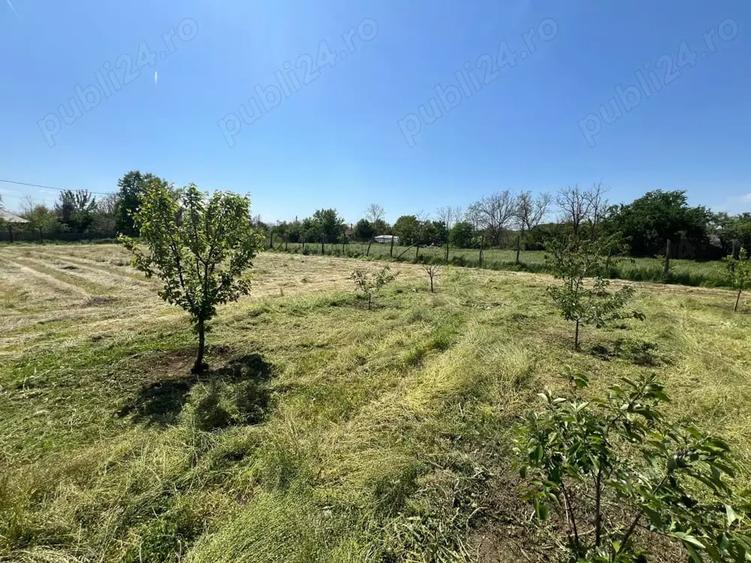 Teren de 1424 mp, în Bărcănești