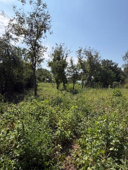 Teren Construcții intravilan de 2418 mp, în Călugăreni