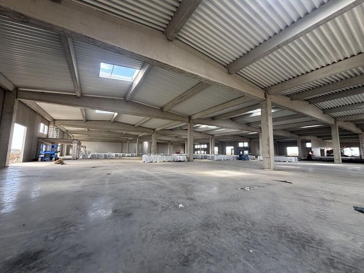 Spațiu industrial, de 885 mp, în Sânandrei