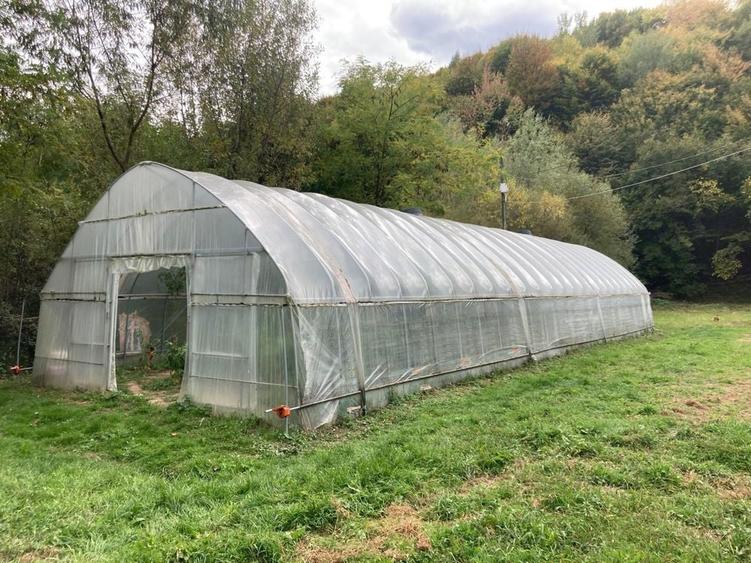 De vanzare teren Telega - 6