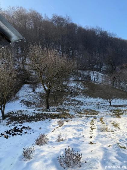 Casa de vanzare Cetateni Arges 100 mp + teren 1000 mp - 5