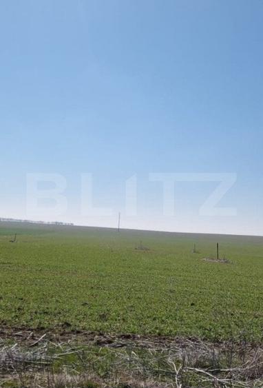 Teren intravilan cu o suprafata 1500 mp in zona Metro - 4