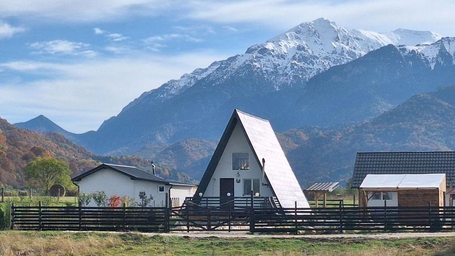 Teren 1000mp cu PUZ in Rasnov, Glajerie - 1