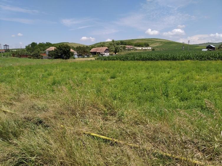 TEREN INTRAVILAN EXCEPTIONAL 6.600 MP LA MARGINEA SOSELEI ASFALTATE - IEFTIN ! - 3