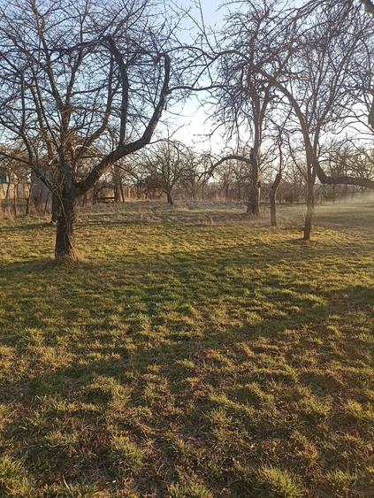 De vânzare casă particulară în Arcus - 11