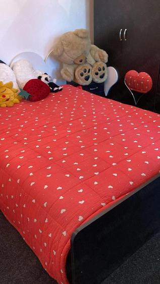 Vand apartament cu 2 camere Somcuta Mare - 3