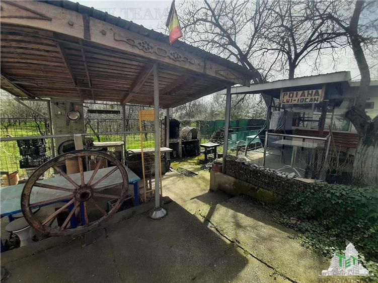 Casa cu livada/teren 1200 mp - 19