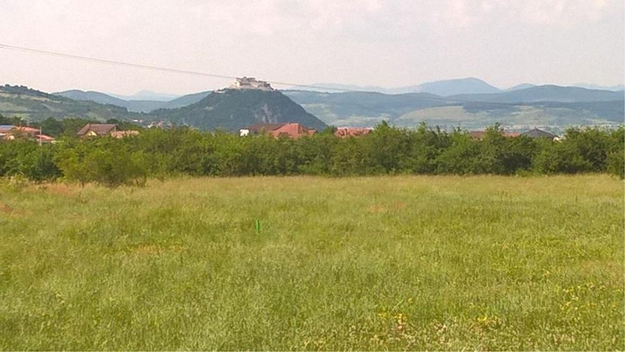 Teren intravilan in ZAVOI-DEVA - 2
