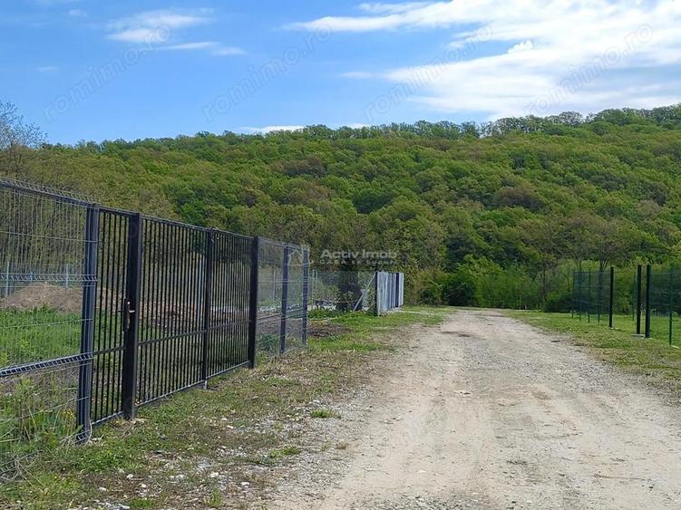 Teren la liziera padurii de vanzare - 1