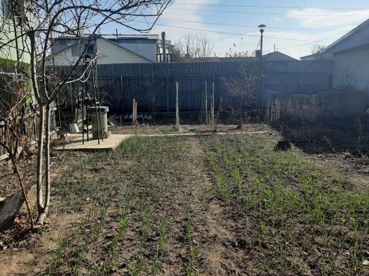 Pantelimon-teren 242mp+casa veche - 1