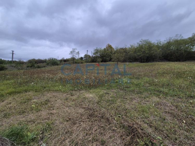 Oportunitate de investitie! Teren extravilan 11 400 mp, Apahida - 4