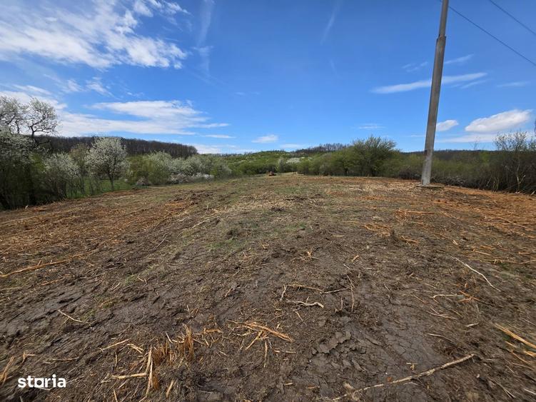 De vanzare teren intravilan Barsau, jud. Hunedoara - 9