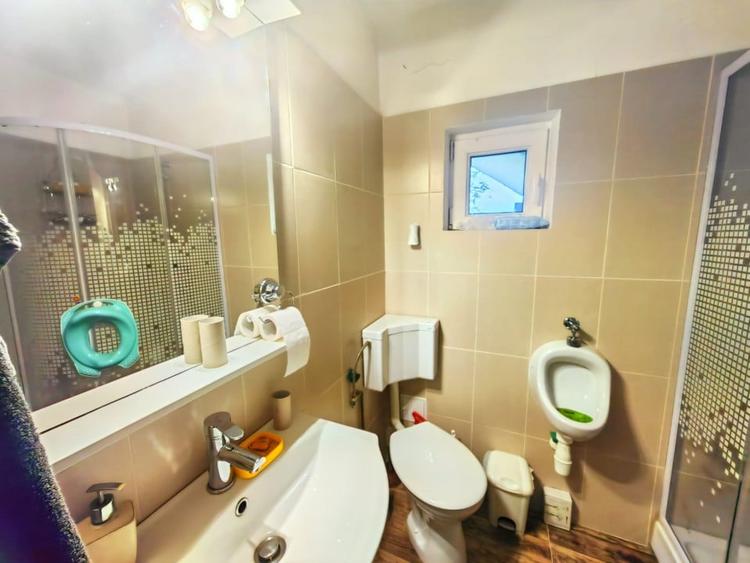 Casa Inedita , 300 mp utili, P+M,  5 bai, 6 dormitoare , 1975 mp teren,  Sacalaz - 12