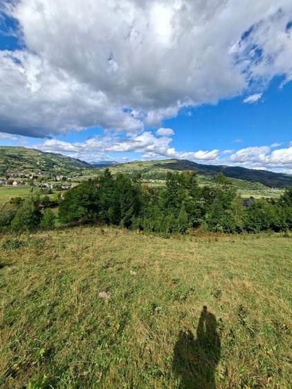 Teren intravilan+extravilan Podirei Bistrita - 6