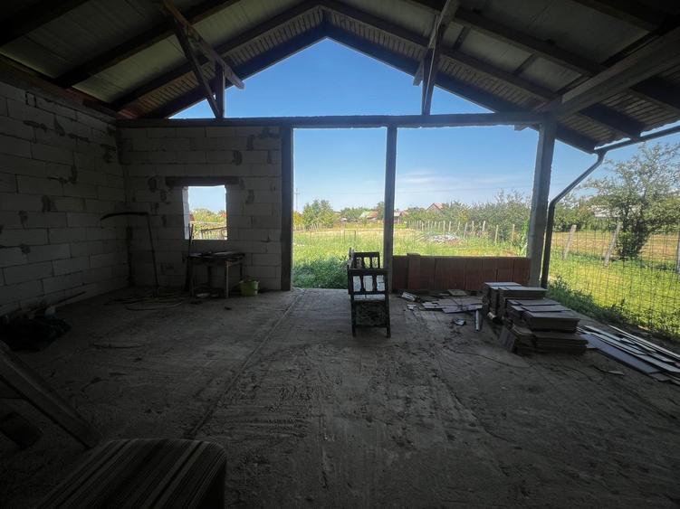 Casa in Ianculesti - 10