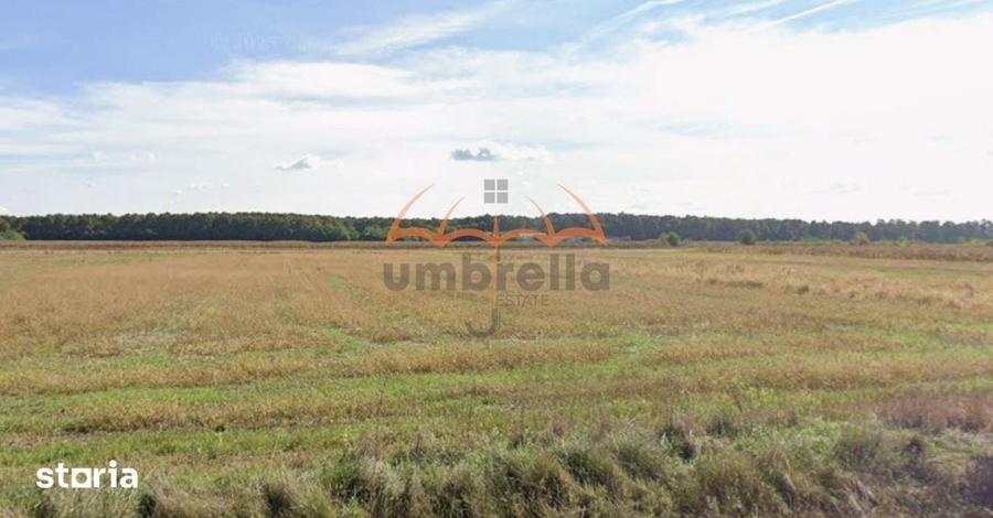 Teren de 6700 mp, în Satulung