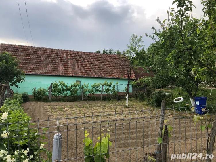 Vand casa in localitatea Sabisa - 9