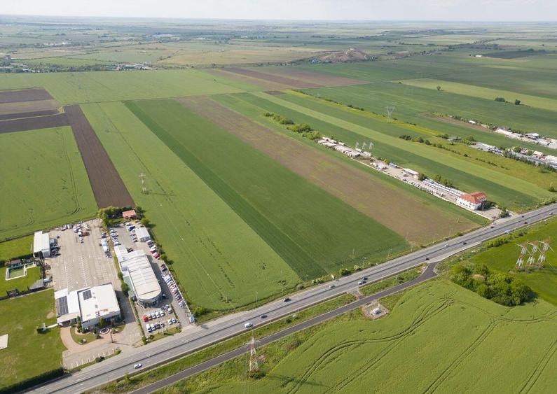 Teren 16.575 mp Arad / Soseaua DN79 - 1