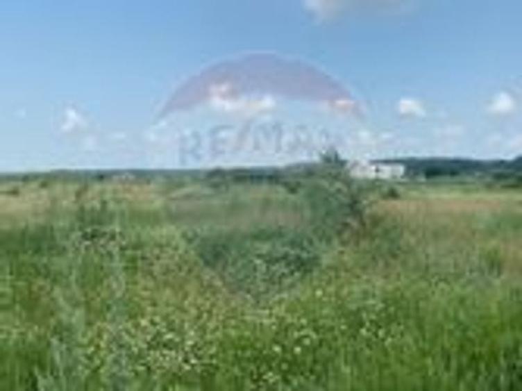 DE VANZARE Teren intravilan 600mp Drumul Piscul Mosului SISESTI - 13