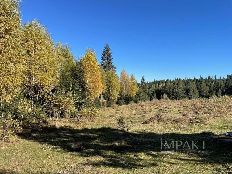 Teren intravilan de 2001 mp în Calatele Padure, comuna Calatele! - 4