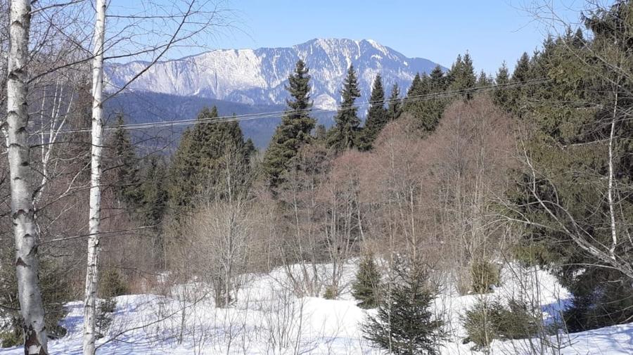 Teren Cioplea Predeal - 1