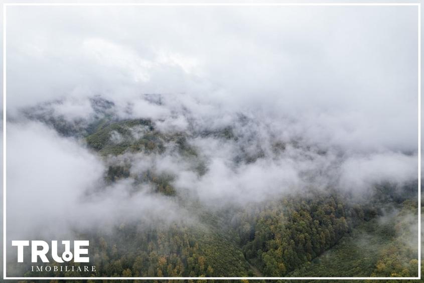 Teren intravilan C&acirc;mpul Cetății 2600m? - zonă de vacanță - 12