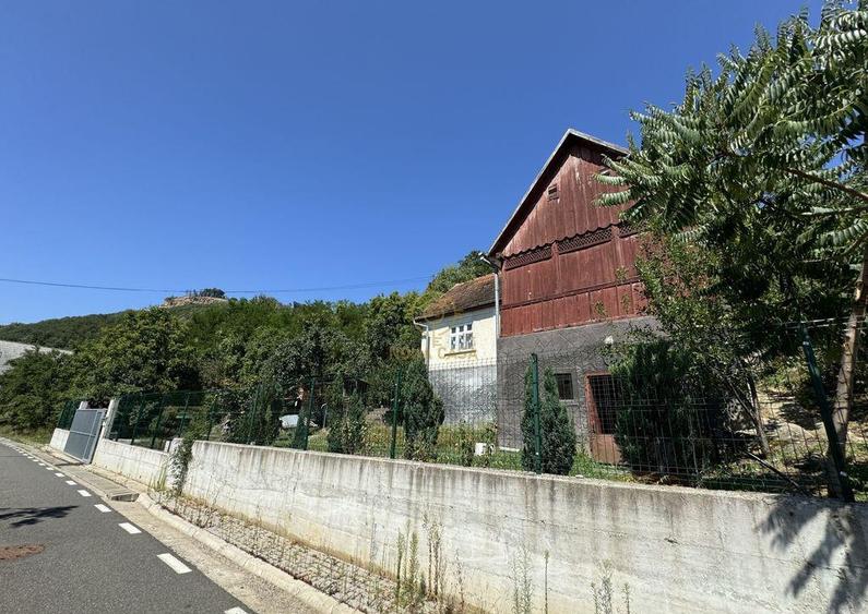 De vanzare Casa cu teren 3500MP in Sabisa/Maramures - 11