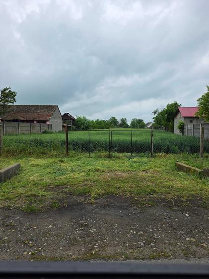 Teren Intravilan in Jebel 1.500 m2 (la doar 25 km de Timisoara) - 1