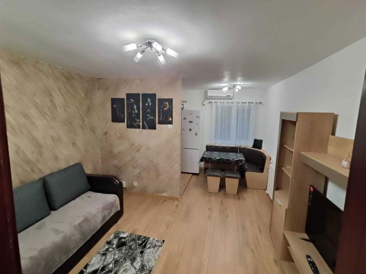 Inchiriez Garsoniera Lapus (Mall Eloctroputere) - 5