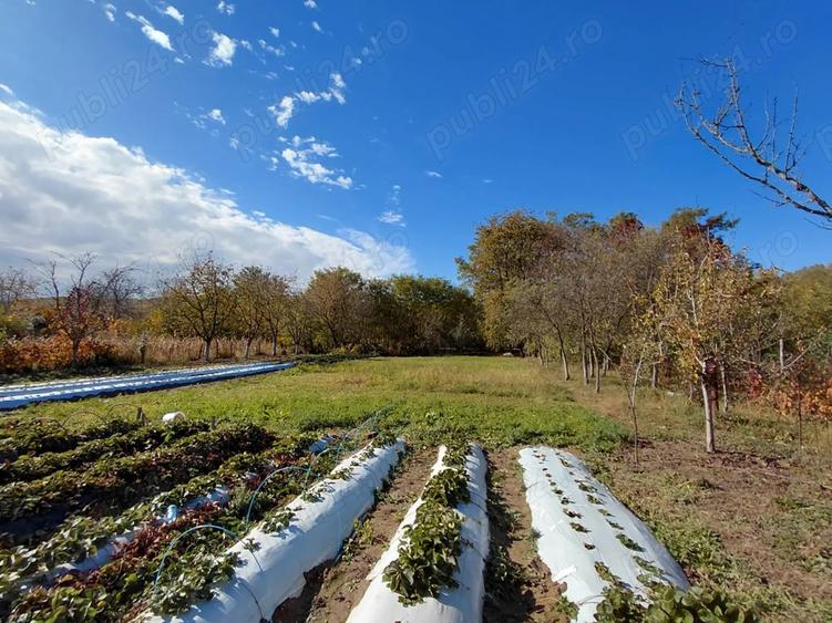Casa de vanzare + gradina in sat Zagujeni - 8