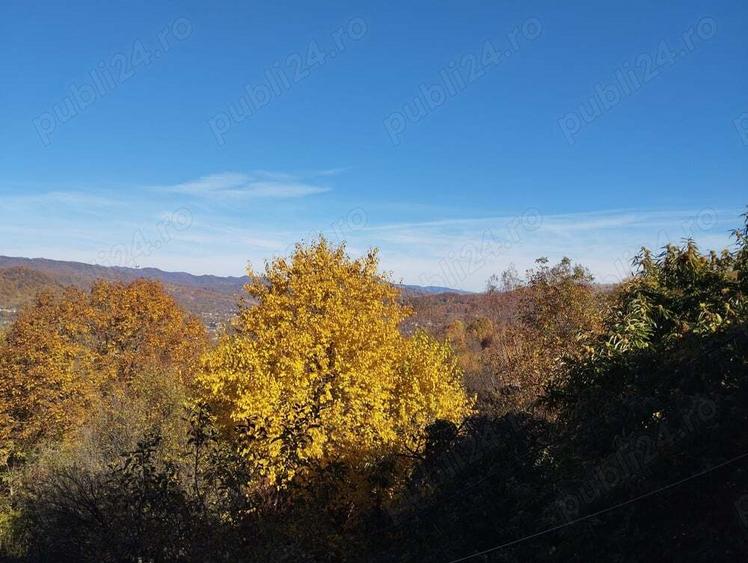 Casa si livada, de vanzare in localitatea Pausesti-Maglasi, sat Coasta. - 7