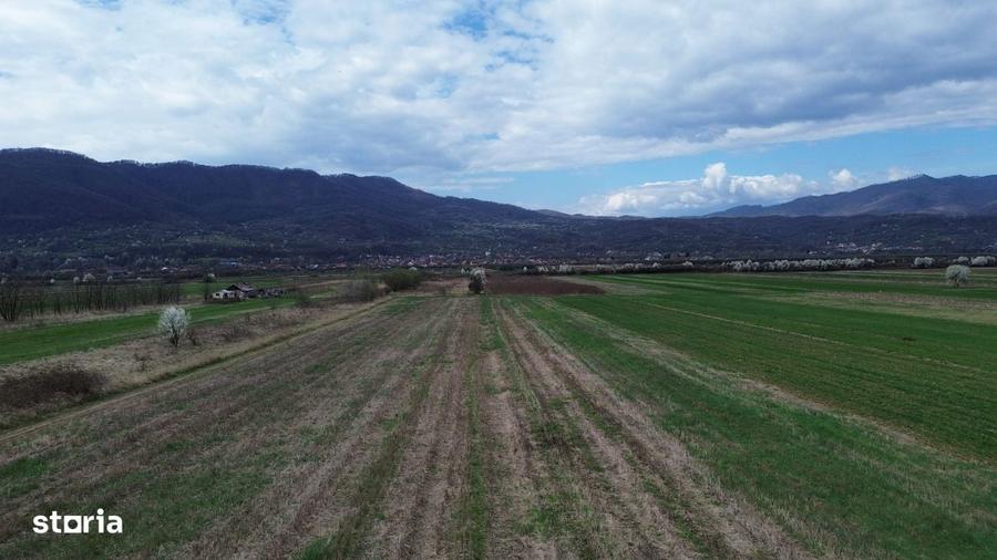 Teren / Jiblea Noua / Calimanesti / - 5