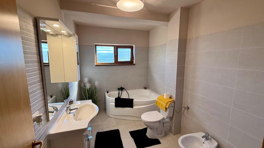 Confort ,liniste si intimitate Dumbravita - 13