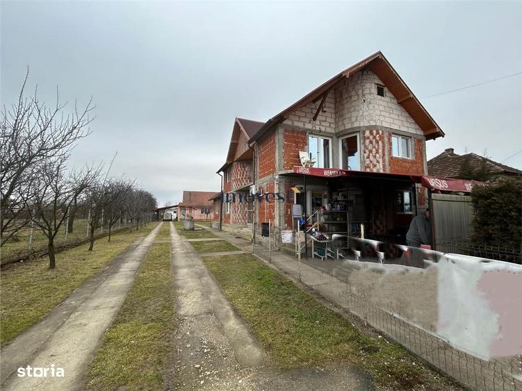 Casa de vanzare in Iojib, Satu Mare | 2 Case + Spatiu Comercial Activ - 5