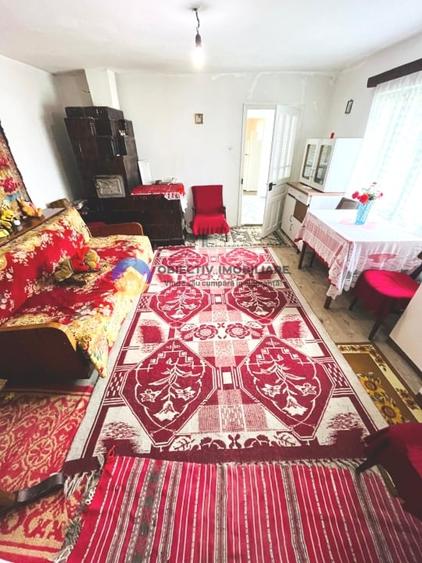 CASĂ + Teren 4616 mp RĂUCEȘTI, langa TARGU NEAMȚ - 7