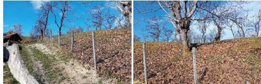 Teren cota parte 1/2, Sat Vistieru, ID: R2809860 - 9