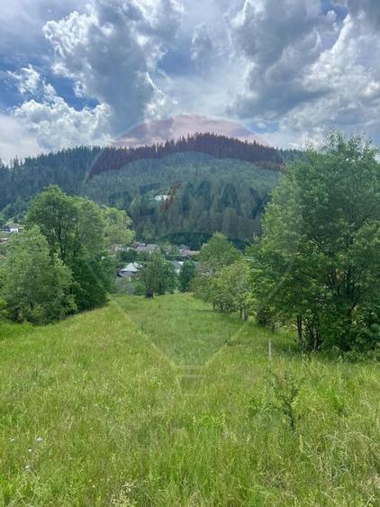 Teren 6,865mp Voronet / Gura Humorului / Bucovina - 28