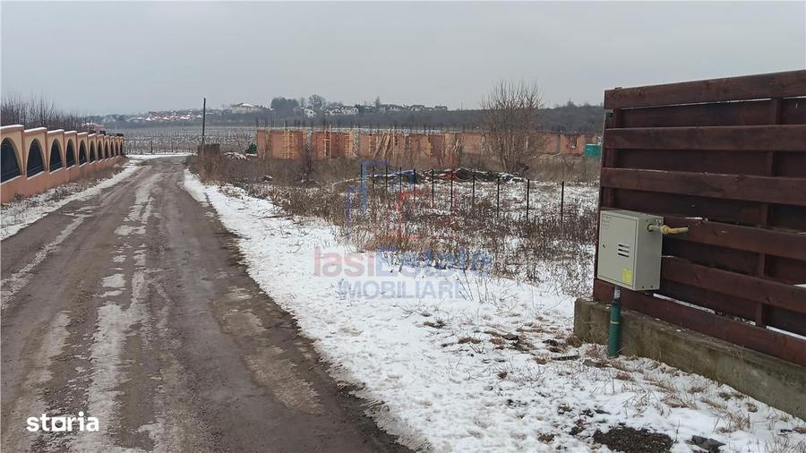 Visan str Dealul Craitelor TEREN 6383mp si 4217mp utilitati si trans - 2
