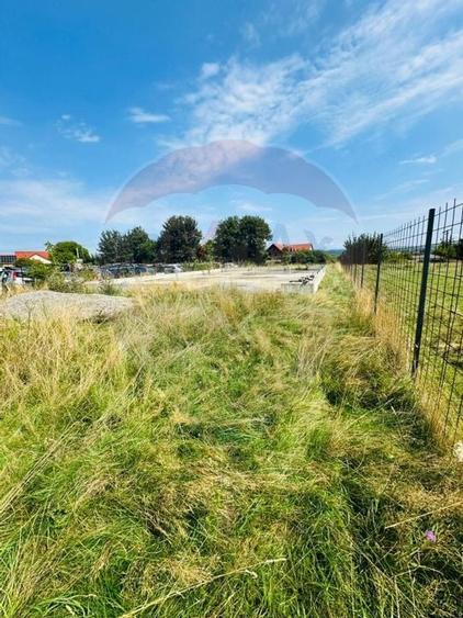 Teren 1,042mp Sarasau / Strada Sarasau - 3