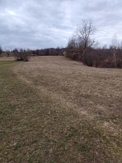 Vanzare Teren Extravilan Sinca Noua - 3