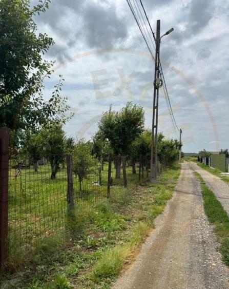 Teren Intravilan - Str. Gorganu, Calinesti - 1268 mp! - 7