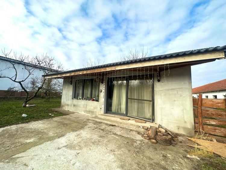Domeniu - Centru de colectare, 7 ha de vanzare in Valea lui Mihai - 58