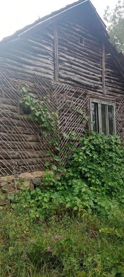 Vand casa cu gradina - 2