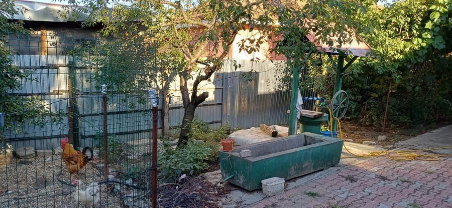 Vand casa la Terpezita - 1