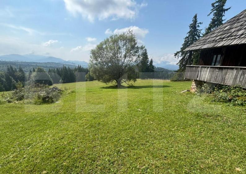 Vanzare teren intravilan de 2 hectare, in Pasul Tihu?a - 11