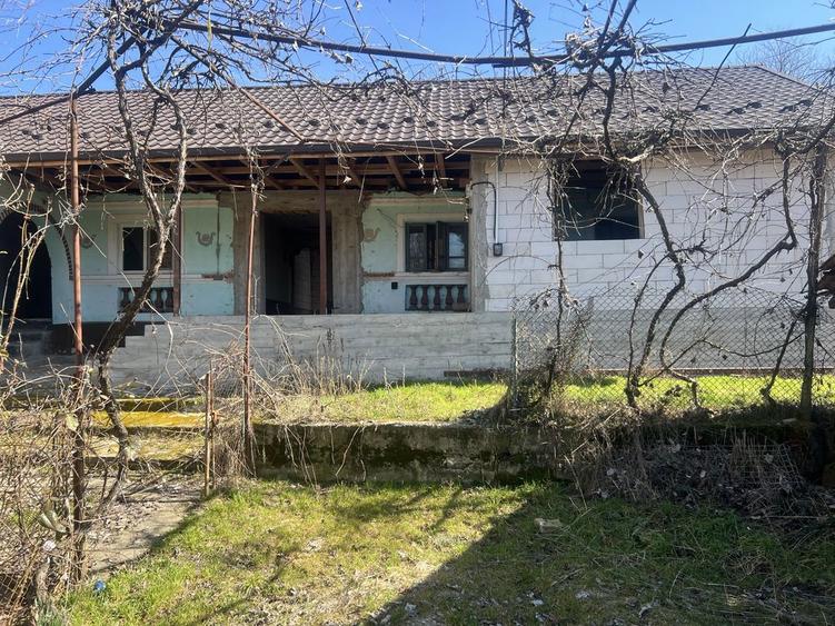 Vand gospodarie in comuna Galicea - 3