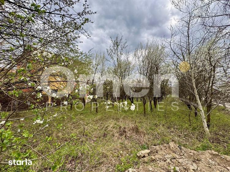 Teren intravilan | 800 mp | zona Marul de Aur | pretabil pentru invest - 3