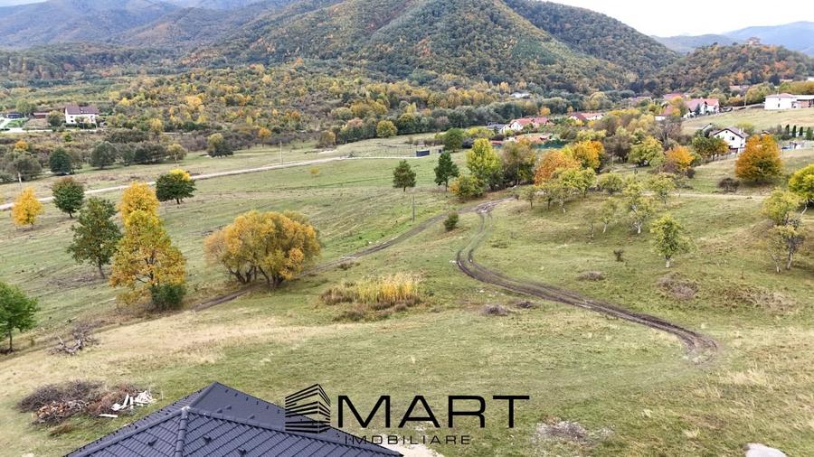 Teren intravilan 1250mp  cu PUZ in Cisnădioara - 4